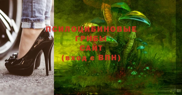 spice Михайловка