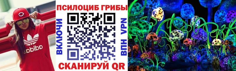 Псилоцибиновые грибы Magic Shrooms Купить где Исилькуль